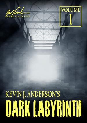 Cover of the book Dark Labyrinth 1 by Kevin J. Anderson, Michael A. Stackpole, Doug Dandridge