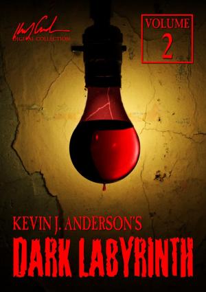 Cover of the book Dark Labyrinth 2 by John D. Payne