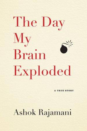 Cover of the book The Day My Brain Exploded by Kelly Barnhill