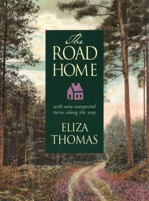 Cover of the book The Road Home by Hillary Jordan