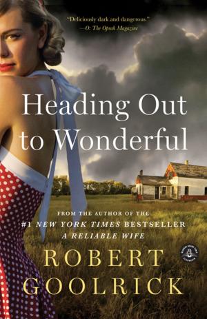 Cover of the book Heading Out to Wonderful by Robert Morgan