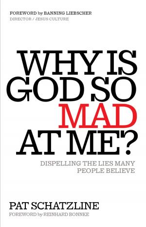 Cover of the book Why Is God So Mad at Me? by Michael Surowiec, Ph.D