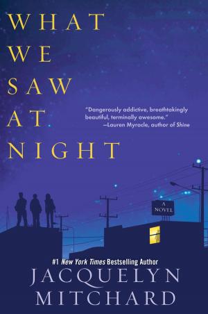Cover of the book What We Saw at Night by Karo Hamalainen