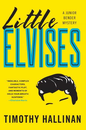 Cover of the book Little Elvises (Junior Bender #2) by Karo Hamalainen