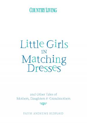 Book cover of Little Girls in Matching Dresses