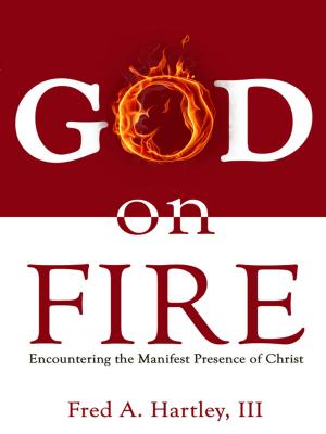 Cover of the book God on Fire by Susan Sutton