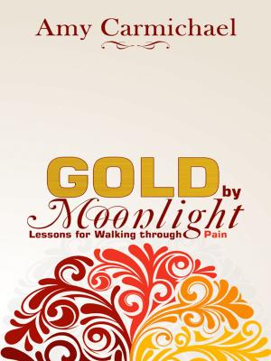 Cover of the book Gold by Moonlight by Bruce A. McDowell