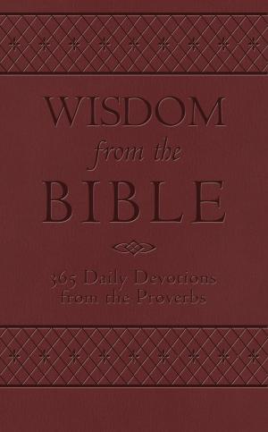 Cover of the book Wisdom from the Bible by Jason Cruise