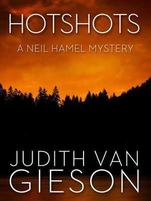 Cover of the book Hotshots by Rochelle Alers