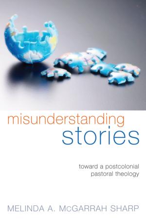 Book cover of Misunderstanding Stories