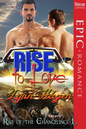 Cover of the book Rise to Love by Stormy Glenn