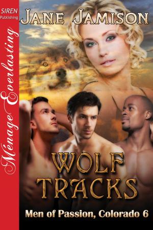 Cover of the book Wolf Tracks by Gale Stanley