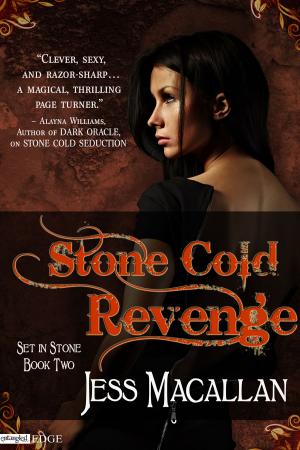 Cover of the book Stone Cold Revenge by Jenny Holiday