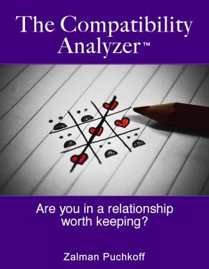 Book cover of The Compatibility Analyzer