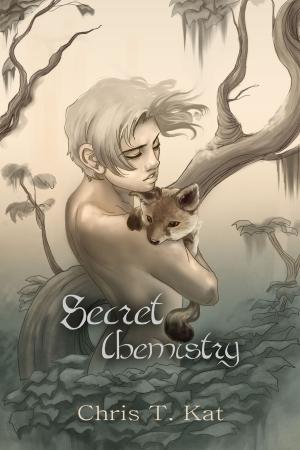 bigCover of the book Secret Chemistry by 