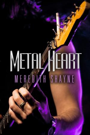 Cover of the book Metal Heart by Fabian Black