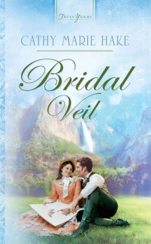 Cover of the book Bridal Veil by Robin Caroll