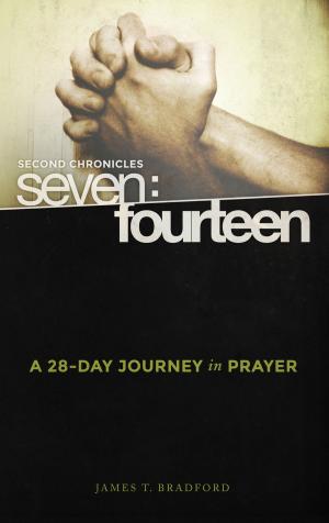 Cover of the book Second Chronicles Seven: Fourteen by Jodi Detrick