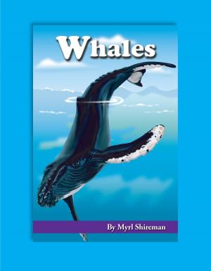 Cover of Whales