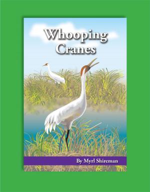 Cover of the book Whooping Cranes by Myrl Shireman