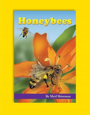 Cover of the book Honeybees by Pascale Rousseau
