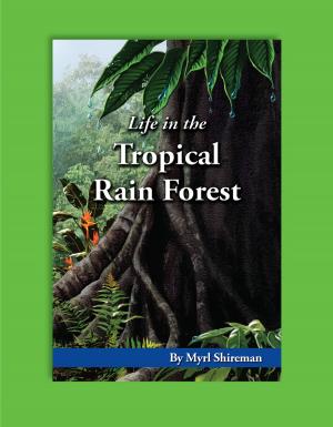 Cover of the book Life in the Tropical Rain Forest by Darcy Pattison