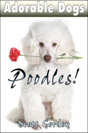 Cover of the book Adorable Dogs: Poodles! by Scott Gordon