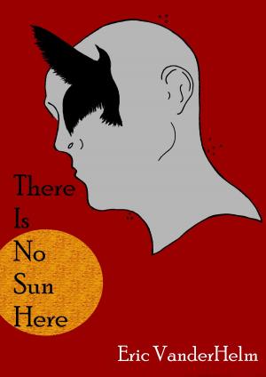 bigCover of the book There Is No Sun Here by 