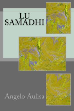 Cover of the book Lu samadhi by Daniel Dembrosky