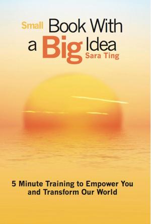 Cover of the book Small Book with a Big Idea by Christopher Brennan