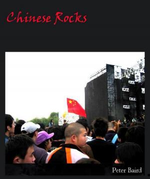 Cover of the book Chinese Rocks by Brent Williams
