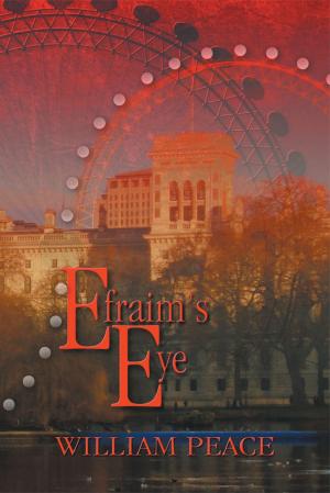 Book cover of Efraim's Eye