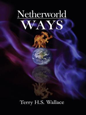 Book cover of Netherworld Ways
