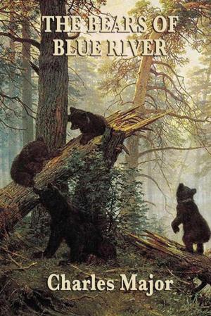 Cover of the book The Bears of Blue River by James Allen