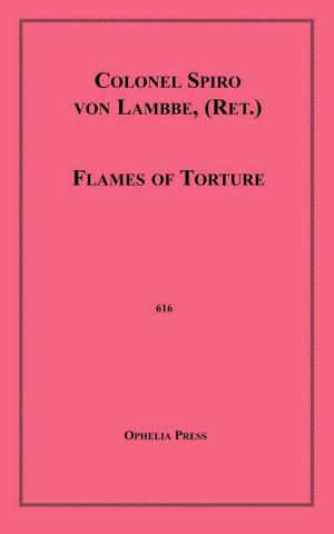 Cover of the book Flames of Torture by Bernhardt Von Soda
