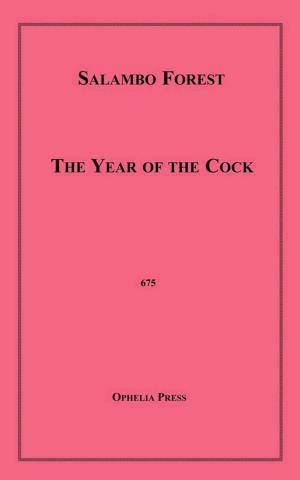 Cover of the book The Year of the Cock by Vi Hardesty
