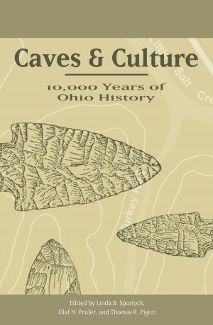 Cover of the book Caves and Culture by Mary Ann Heiss