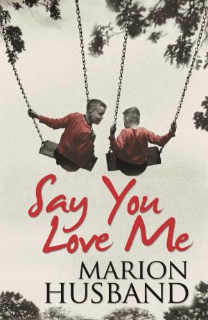 Cover of the book Say You Love Me by Lesley Cookman