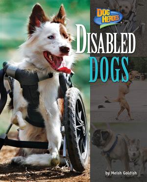 Cover of the book Disabled Dogs by Ruth Owen