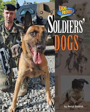 Cover of the book Soldiers' Dogs by Meish Goldish