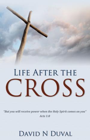Cover of the book Life After the Cross by Paula Hernando