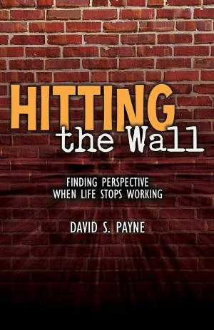 Book cover of Hitting the Wall
