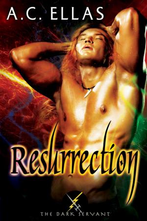 Cover of the book Resurrection by U.M. Lassiter