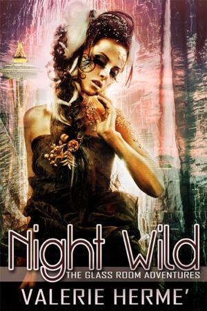 Book cover of Night Wild