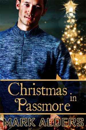 Cover of the book Christmas in Passmore by A.J. Llewellyn