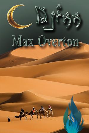 Cover of the book Djinn by Toni V. Sweeney