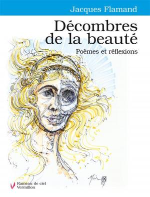 Cover of the book Décombres de la beauté by Didier Leclair