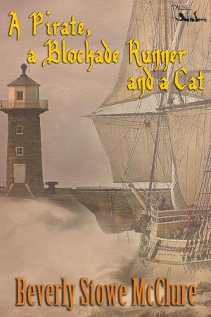 Cover of the book A Pirate, a Blockade Runner, and a Cat by MK Barrett
