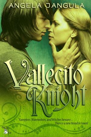 Cover of the book Vallecito Knight by Luanne Bennett