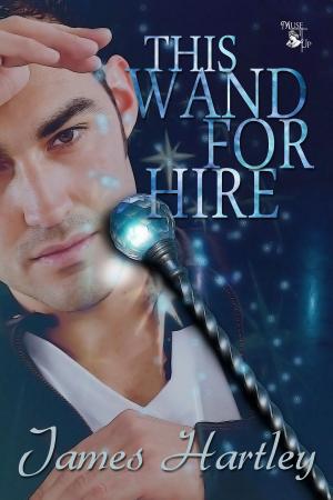 Cover of the book This Wand for Hire by Anne Stenhouse